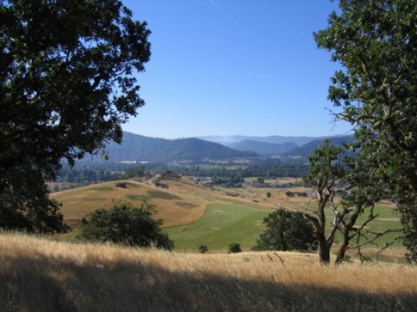 Listing Image #1 - Land for sale at 0 Lookingglass Road, Winston OR 97496
