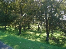 Listing Image #1 - Land for sale at 918 Sharit Avenue, Gardendale AL 35071
