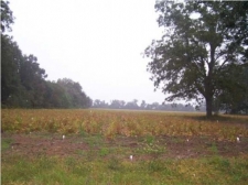 Listing Image #1 - Land for sale at Highway 98, Elberta AL 36530
