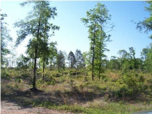 Listing Image #1 - Land for sale at Modelle Bryars Rd, Perdido AL 36562