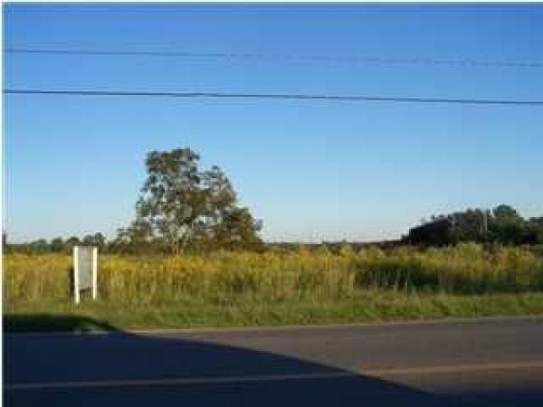 Listing Image #1 - Multi-Use for sale at 16650 State Hwy 181, Fairhope AL 36532