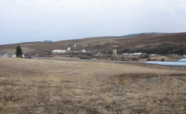 Listing Image #1 - Land for sale at TBD SR 270, Pullman WA 99163 Listing Image #1 - Land for sale at TBD SR 270, Pullman WA 99163