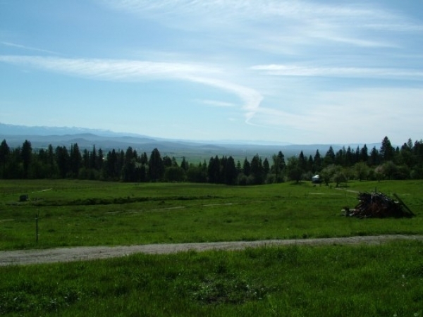 Listing Image #2 - Ranch for sale at 13594 Willow Creek Lane, Haines OR 97833