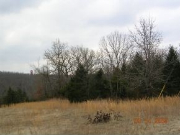 Listing Image #1 - Land for sale at 2700 Shepherd of the Hills Exp, Branson MO 65616