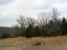 Listing Image #1 - Land for sale at 2700 Shepherd of the Hills Exp, Branson MO 65616