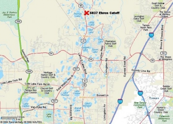 Listing Image #1 - Land for sale at Ehren Cutoff (CR 583) &amp; Tower Rd, Land O Lakes FL 34638