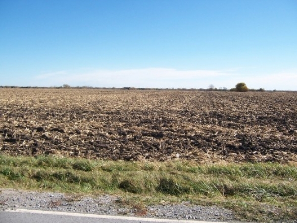 Listing Image #1 - Land for sale at Parrish Ave., Lowell IN 46356