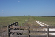 Listing Image #1 - Land for sale at Kettering Road and Powerline Road, Brooksville FL 34602