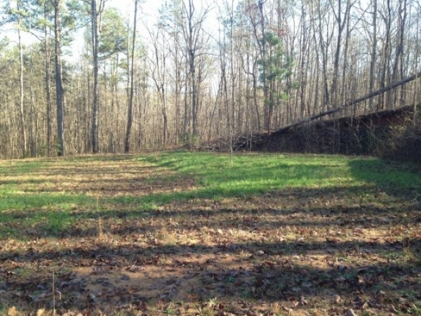 Listing Image #1 - Land for sale at 845 Smithonia Road, Winterville GA 30683