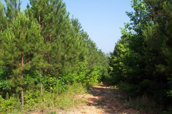 Listing Image #1 - Land for sale at Cox Farm Road, SE, Acworth GA 30101