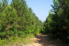 Listing Image #1 - Land for sale at Cox Farm Road, SE, Acworth GA 30101