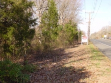 Listing Image #3 - Land for sale at 1481 Delsea Drive, Franklinville NJ 08322