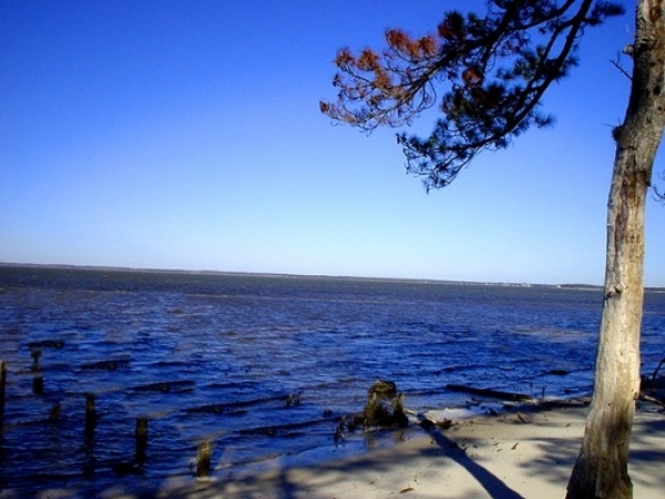 Listing Image #1 - Multi-family for sale at Waterfront Property - 14001 Fort Morgan Road, Gulf Shores AL 36542 Listing Image #1 - Multi-family for sale at Waterfront Property - 14001 Fort Morgan Road, Gulf Shores AL 36542