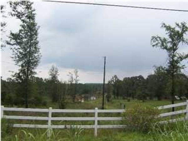 Listing Image #1 - Multi-Use for sale at Turnerville Farm Rd and Roberts Rd, Turnerville AL 36521