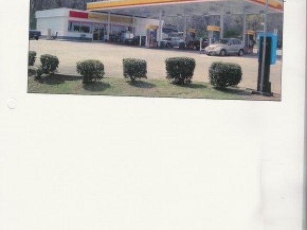 Listing Image #1 - Retail for sale at 274 Walnut St., Centreville AL 35042 Listing Image #1 - Retail for sale at 274 Walnut St., Centreville AL 35042