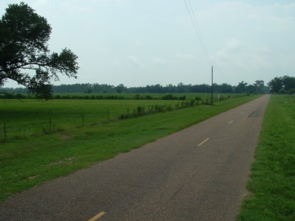 Listing Image #1 - Land for sale at 28446 County Road 26, Elberta AL 36530 Listing Image #1 - Land for sale at 28446 County Road 26, Elberta AL 36530