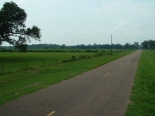 Listing Image #1 - Land for sale at 28446 County Road 26, Elberta AL 36530 Listing Image #1 - Land for sale at 28446 County Road 26, Elberta AL 36530