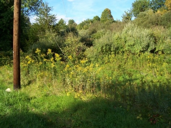 Listing Image #1 - Land for sale at 13 Old Hawleyville Rd, Newtown CT 06470
