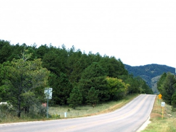 Listing Image #1 - Land for sale at 18805 Cloven Hoof Road, Palmer Lake CO 80133
