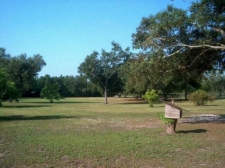 Listing Image #1 - Multi-Use for sale at 12511 Lillian Hwy., Pensacola FL 32506