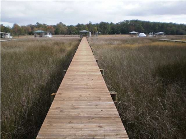 Listing Image #1 - Land for sale at 1643 BULL CREEK LN, Charleston SC 29414