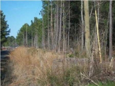 Listing Image #1 - Land for sale at 0 AMBER RD, Summerville SC 29483