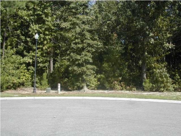 Listing Image #1 - Land for sale at 1001 ISLAND CROSSING DR, Hanahan SC 29410