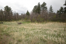 Listing Image #1 - Land for sale at 0 VIRGINIA AVE, PALMER LAKE CO 80933