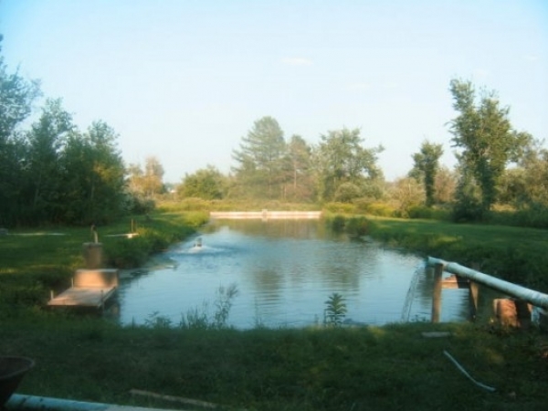 Listing Image #1 - Business for sale at 5th Lane, Westfield WI 53964 Listing Image #1 - Business for sale at 5th Lane, Westfield WI 53964