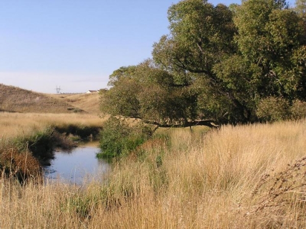 Listing Image #1 - Land for sale at Campstool Road, Cheyenne WY 82007