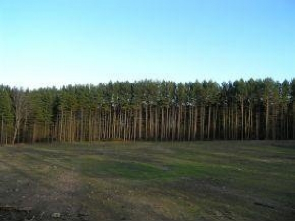 Listing Image #1 - Land for sale at 1282 Luce Hill Road, Stowe VT 05672
