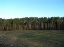 Listing Image #1 - Land for sale at 1282 Luce Hill Road, Stowe VT 05672