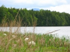 Listing Image #1 - Land for sale at Lot 8 Needle Eye Road, Morristown VT 05661