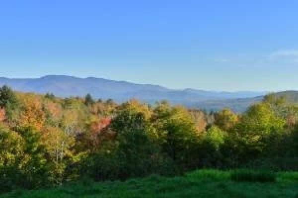 Listing Image #1 - Land for sale at Lot 71 Robinson Springs Road, Stowe VT 05672