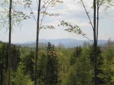 Listing Image #1 - Land for sale at Lot 7 Stage Coach Lane, Waterbury VT 05677