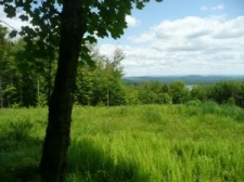 Listing Image #1 - Land for sale at Diggins Road, Hyde Park VT 05655