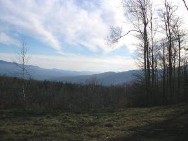 Listing Image #1 - Land for sale at Robinson Springs Road, Stowe VT 05672