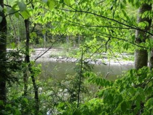 Listing Image #1 - Land for sale at Lot 7 Needle Eye Road, Morristown VT 05661