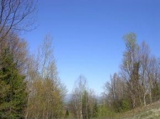 Listing Image #1 - Land for sale at Lot 12 Worcester Ridge Road, Elmore VT 05657