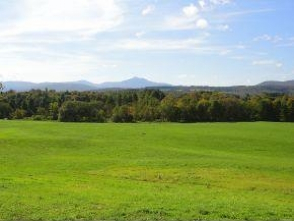 Listing Image #1 - Land for sale at Loomis Hill, Waterbury VT 05677
