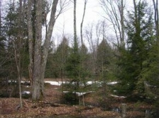 Listing Image #1 - Land for sale at Sweetser Lane, Stowe VT 05672