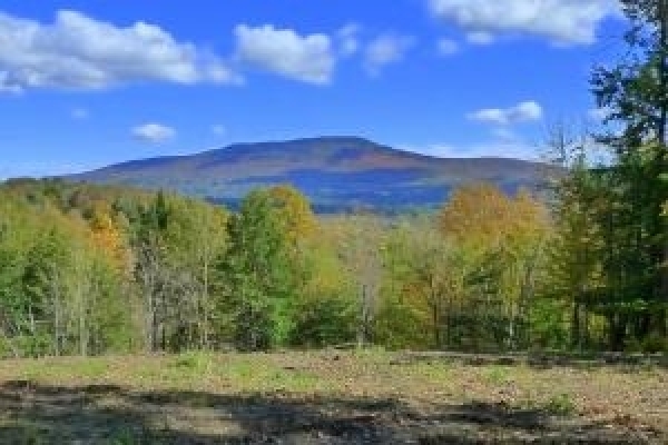 Listing Image #1 - Land for sale at Lot 8, 4233 Stagecoach Road, Morristown VT 05661