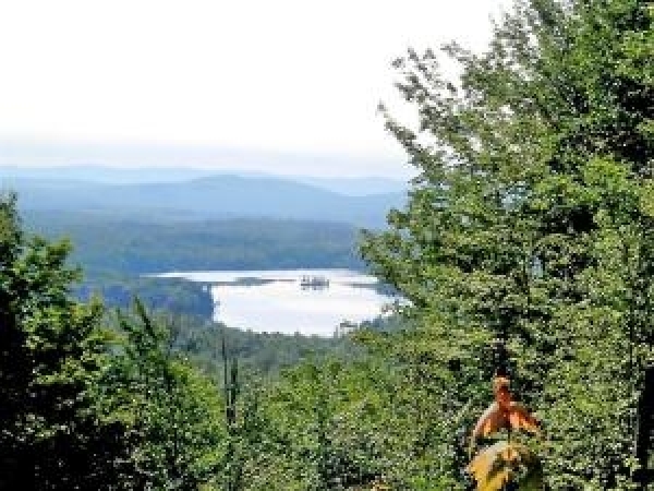 Listing Image #1 - Land for sale at Diggins Road, Hyde Park VT 05655