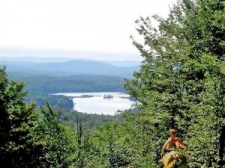Listing Image #1 - Land for sale at Diggins Road, Hyde Park VT 05655