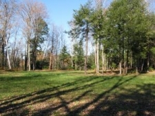 Listing Image #1 - Land for sale at Lot 1 Needle Eye Road, Morristown VT 05661