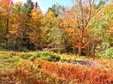 Listing Image #1 - Land for sale at Falls Brook Ln, Stowe VT 05672