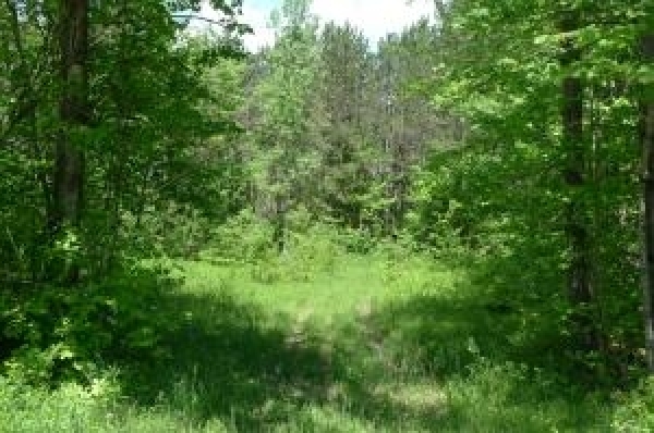 Listing Image #1 - Land for sale at Morey Hill Road, Wolcott VT 05680