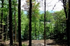 Listing Image #1 - Land for sale at Lot 5 Needle Eye Road, Morristown VT 05661