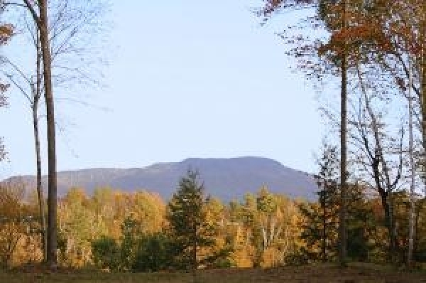 Listing Image #1 - Land for sale at Lot 6 Needle Eye Road, Morristown VT 05661