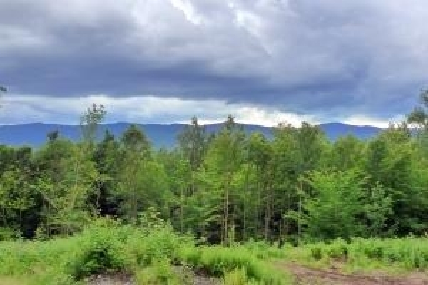 Listing Image #1 - Land for sale at Lot 5, 4233 Stagecoach Road, Morristown VT 05661